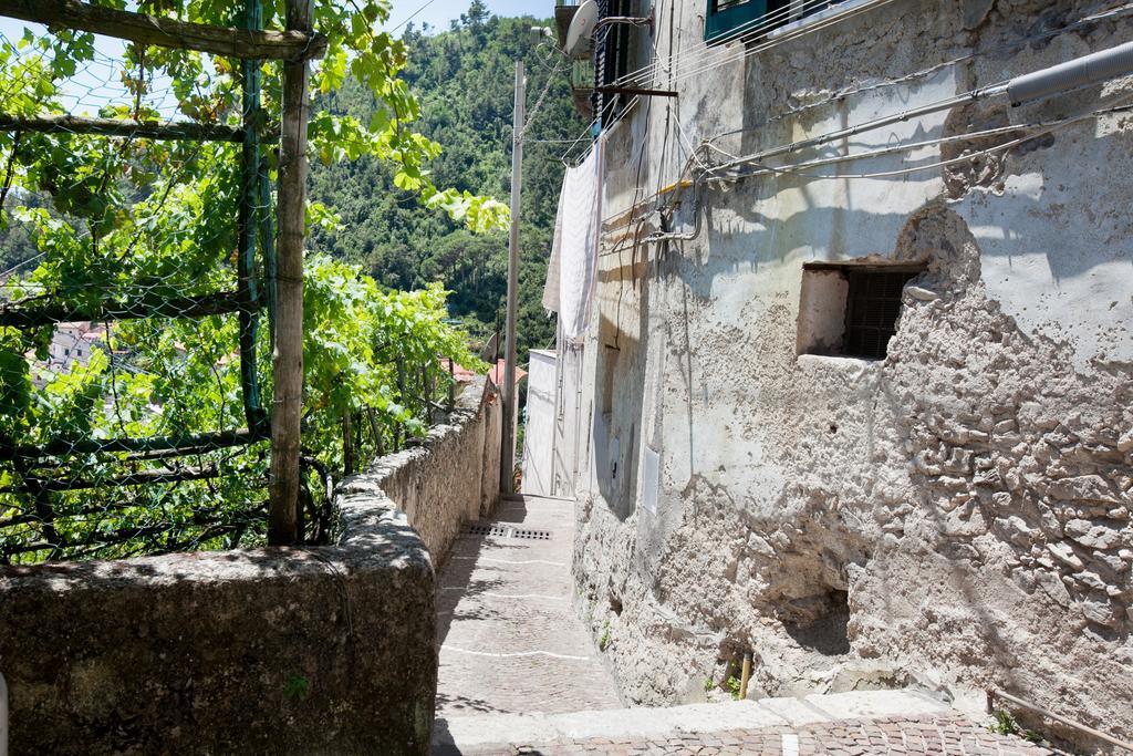 Casa Ferrigno *
